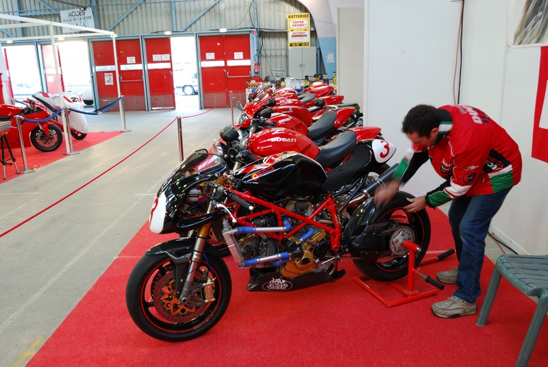 Puce_Niort_2009_005 [800x600].jpg